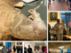 6 Fotos sind zu einer Collage zusammengefasst. Zu sehen sind unterschiedliche Szenen im Gleimhaus in Halberstadt. Das größte Bild zeigt eine lebensgroße, menschliche Figur aus Zeitungspapier die an einem Tisch sitzt und etwas schreibt.
